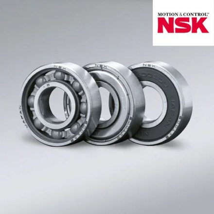 6013 NSK