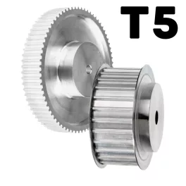 T5