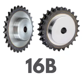 16B típus
